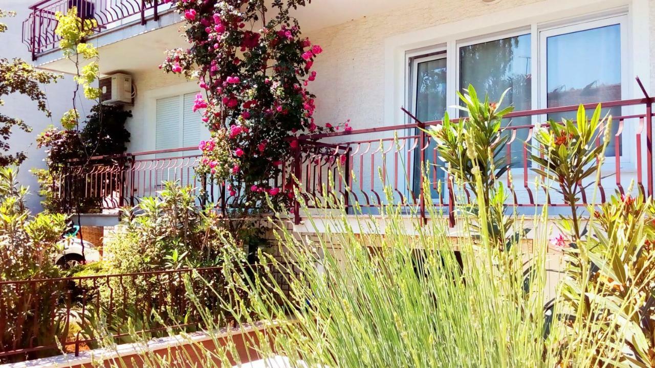 אומאג Apartmani Komunela מראה חיצוני תמונה